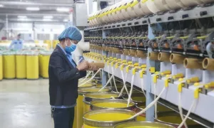 Công ty sợi kinh doanh thêm bất động sản sau hai năm thua lỗ